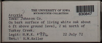 Image Associated With the Occurence